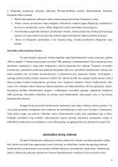 Savivaldų funkcijos 8 puslapis