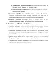 Savižudybės Lietuvoje. Priežastys ir statistiniai duomenys 11 puslapis