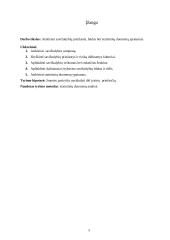 Savižudybės Lietuvoje. Priežastys ir statistiniai duomenys 5 puslapis