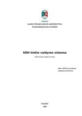 SDH tinklo valdymo sistema