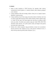 SDH tinklo valdymo sistema 17 puslapis