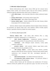 SDH tinklo valdymo sistema 4 puslapis