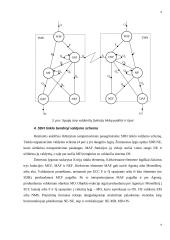 SDH tinklo valdymo sistema 9 puslapis