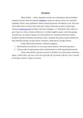 Sektos žudikės 14 puslapis