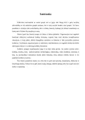 Show business and culture 4 puslapis