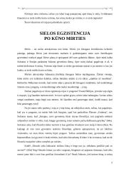 Sielos egzistencija po kūno mirties 3 puslapis