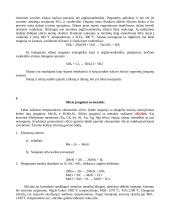 Silicis gamtoje 4 puslapis