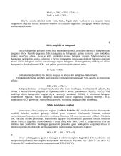 Silicis gamtoje 5 puslapis