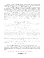 Silicis gamtoje 6 puslapis