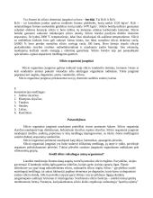 Silicis gamtoje 7 puslapis