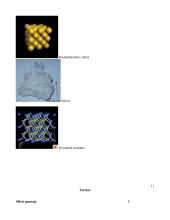 Silicis gamtoje 10 puslapis