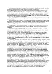 Sintaksės taisyklės 4 puslapis