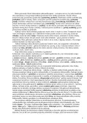 Sintaksės taisyklės 5 puslapis
