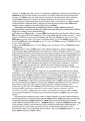 Sintaksės taisyklės 6 puslapis