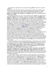 Sintaksės taisyklės 7 puslapis