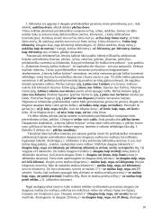 Sintaksės taisyklės 10 puslapis