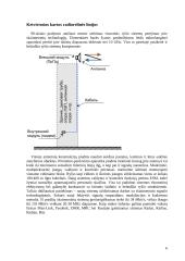 Siuntimo technika ir naudojamos analoginio signalo siuntimo technologijos 6 puslapis