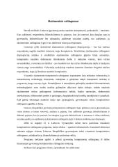 Skaitmeninė visuomenė 15 puslapis