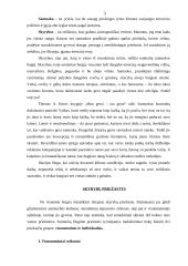 Santuoka ir skyrybos  3 puslapis