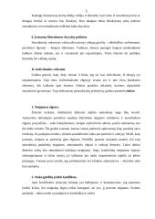 Santuoka ir skyrybos  5 puslapis