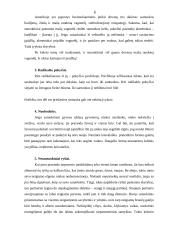 Santuoka ir skyrybos  6 puslapis