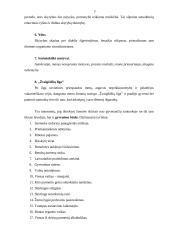 Santuoka ir skyrybos  7 puslapis