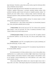 Santuoka ir skyrybos  10 puslapis