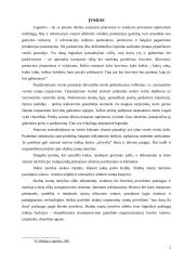 Skubių siuntų tarnybos 2 puslapis