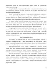 Skubių siuntų tarnybos 17 puslapis