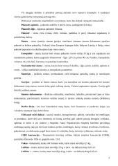 Skubių siuntų tarnybos 3 puslapis