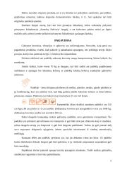 Skubių siuntų tarnybos 5 puslapis