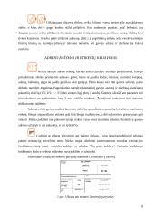 Skubių siuntų tarnybos 8 puslapis