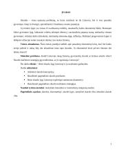 Skurdo konceptualizacija ir dimencionalizacija Lietuvoje 2 puslapis