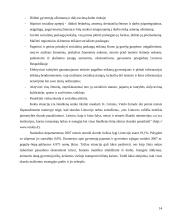 Skurdo konceptualizacija ir dimencionalizacija Lietuvoje 14 puslapis