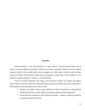 Skurdo konceptualizacija ir dimencionalizacija Lietuvoje 15 puslapis