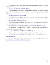 Skurdo konceptualizacija ir dimencionalizacija Lietuvoje 17 puslapis