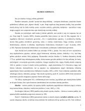 Skurdo konceptualizacija ir dimencionalizacija Lietuvoje 3 puslapis