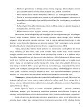 Skurdo konceptualizacija ir dimencionalizacija Lietuvoje 8 puslapis