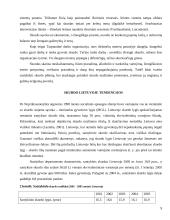 Skurdo konceptualizacija ir dimencionalizacija Lietuvoje 9 puslapis