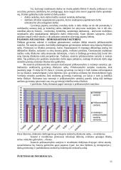 Skurdo problema Lietuvoje bei jo mažinimo kryptys 12 puslapis
