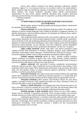 Skurdo problema Lietuvoje bei jo mažinimo kryptys 16 puslapis