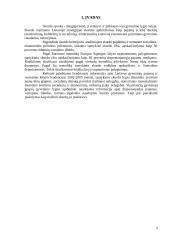 Skurdo problema Lietuvoje bei jo mažinimo kryptys 3 puslapis