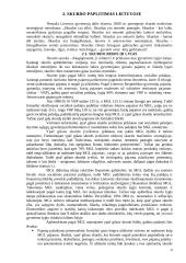 Skurdo problema Lietuvoje bei jo mažinimo kryptys 4 puslapis