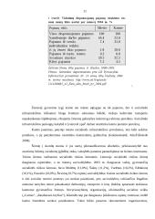 Skurdo samprata. Skurdo priežastys. Skurdo riba 11 puslapis