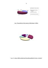 Skurdo samprata. Skurdo priežastys. Skurdo riba 16 puslapis
