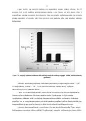 Skurdo samprata. Skurdo priežastys. Skurdo riba 17 puslapis