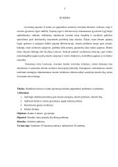 Skurdo samprata. Skurdo priežastys. Skurdo riba 3 puslapis