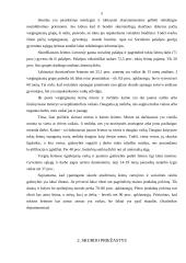 Skurdo samprata. Skurdo priežastys. Skurdo riba 5 puslapis