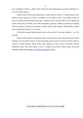 Skurdo samprata. Skurdo priežastys. Skurdo riba 8 puslapis