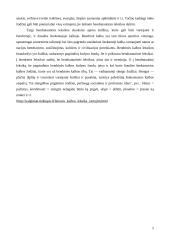 Slengas kalboje 5 puslapis